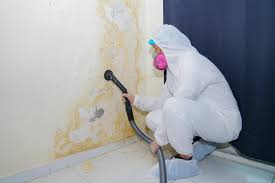 Best Real Estate Mold Inspection  in Sylvester, GA